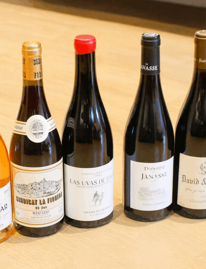 Garnatxa negra, resistència camaleònica